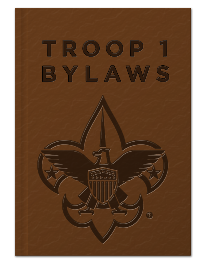 bylaws-image